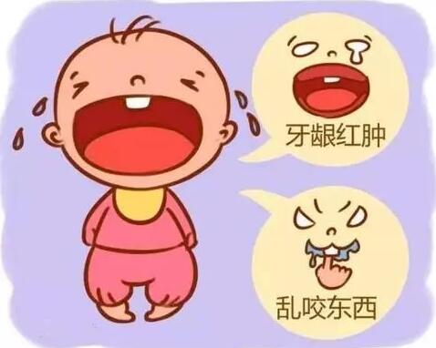 寶寶幾個月長牙以及長牙順序