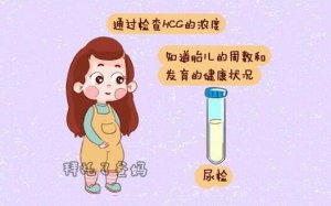 懷孕hcg正常值對(duì)照表