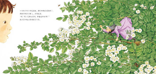 《小女巫》母子親情繪本故事