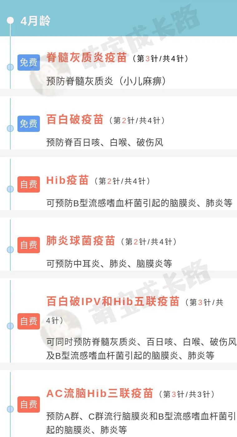 0-6歲嬰兒疫苗接種時(shí)間表