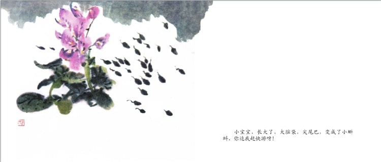《小蝌蚪找媽媽》兒童繪本故事