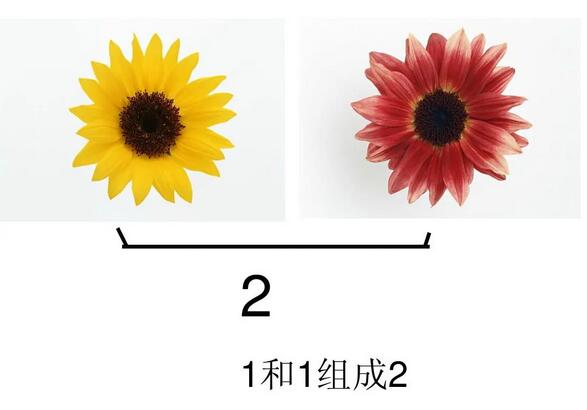 幼兒園趣味數(shù)學(xué)小游戲，孩子邊玩兒邊學(xué)