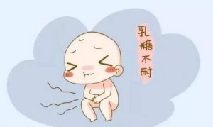 寶寶乳糖不耐受咋辦？