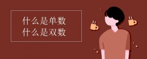 什么是單數(shù)和雙數(shù)