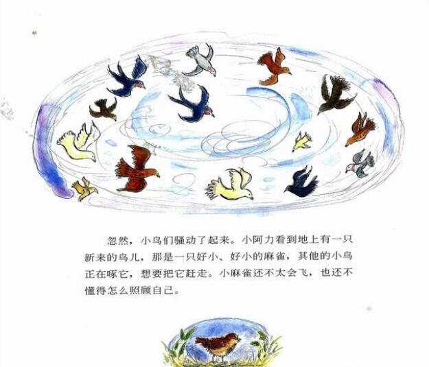 兒童繪本故事《小阿力的大學(xué)校》