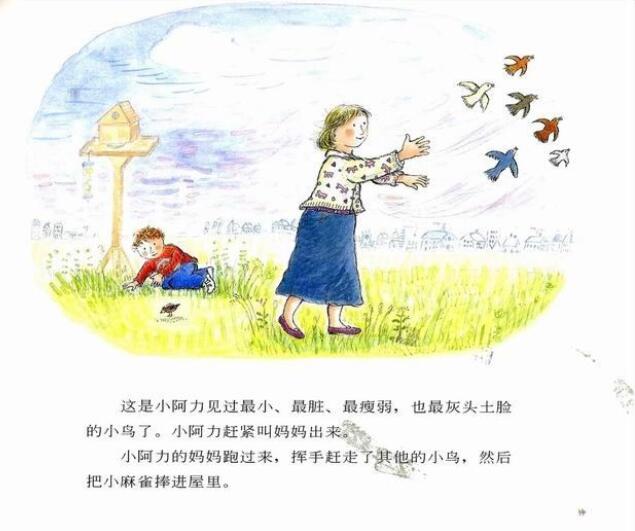 兒童繪本故事《小阿力的大學(xué)校》