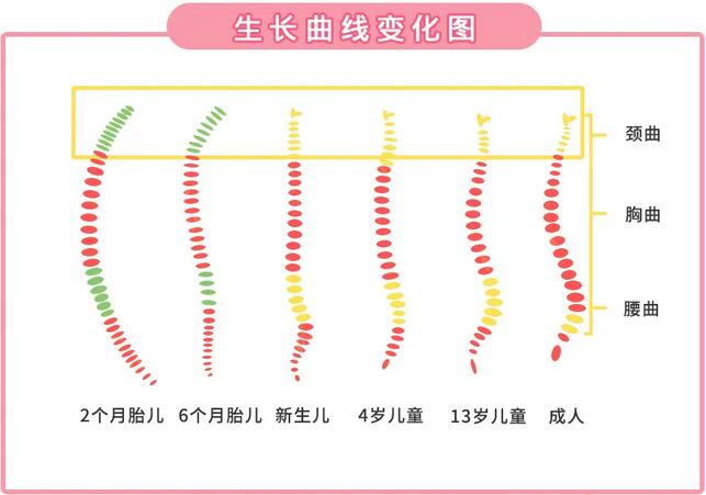 嬰兒什么時候用枕頭