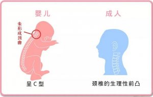 嬰兒什么時(shí)候用枕頭，怎么選購(gòu)？