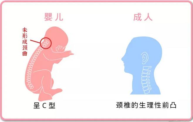 嬰兒什么時候用枕頭