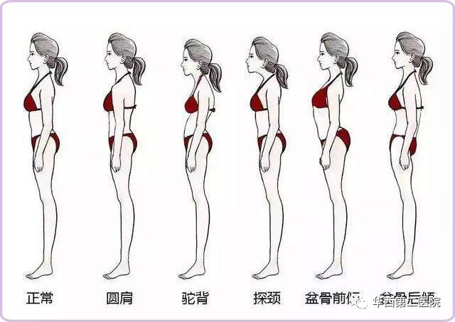 懷孕腰痛的原因有哪些