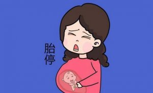 懷孕兩個月胎停的癥狀