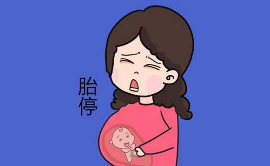 懷孕兩個(gè)月胎停的癥狀