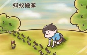 螞蟻搬家作文（精選11篇）