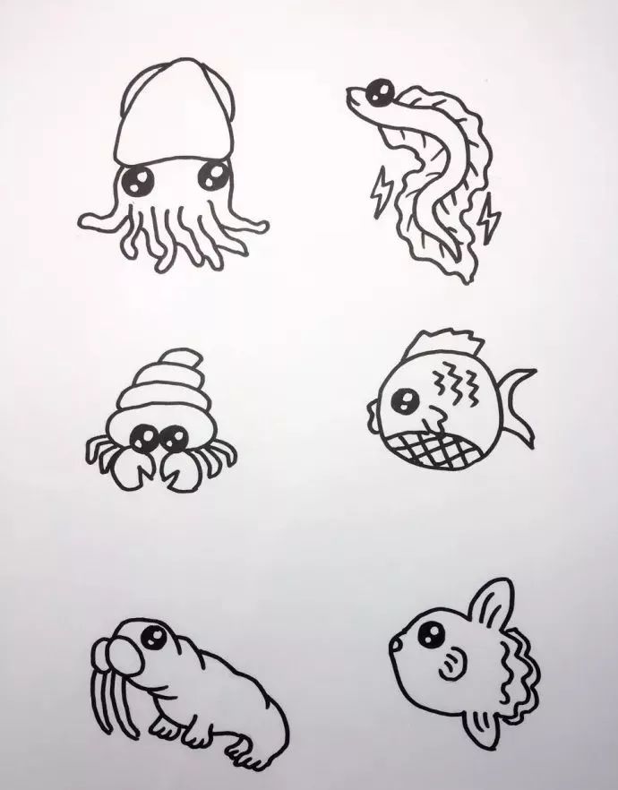 海底世界海洋生物簡筆畫圖片