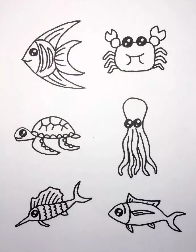 海底世界海洋生物簡筆畫圖片