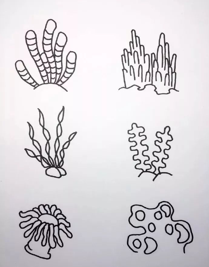 海底世界海洋生物簡筆畫圖片