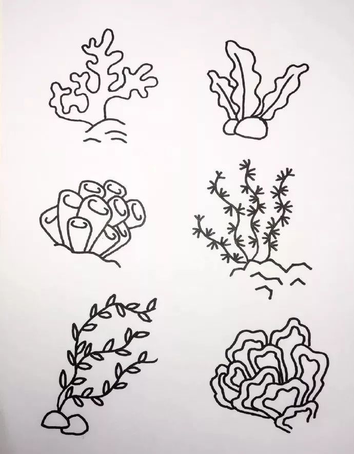 海底世界海洋生物簡筆畫圖片