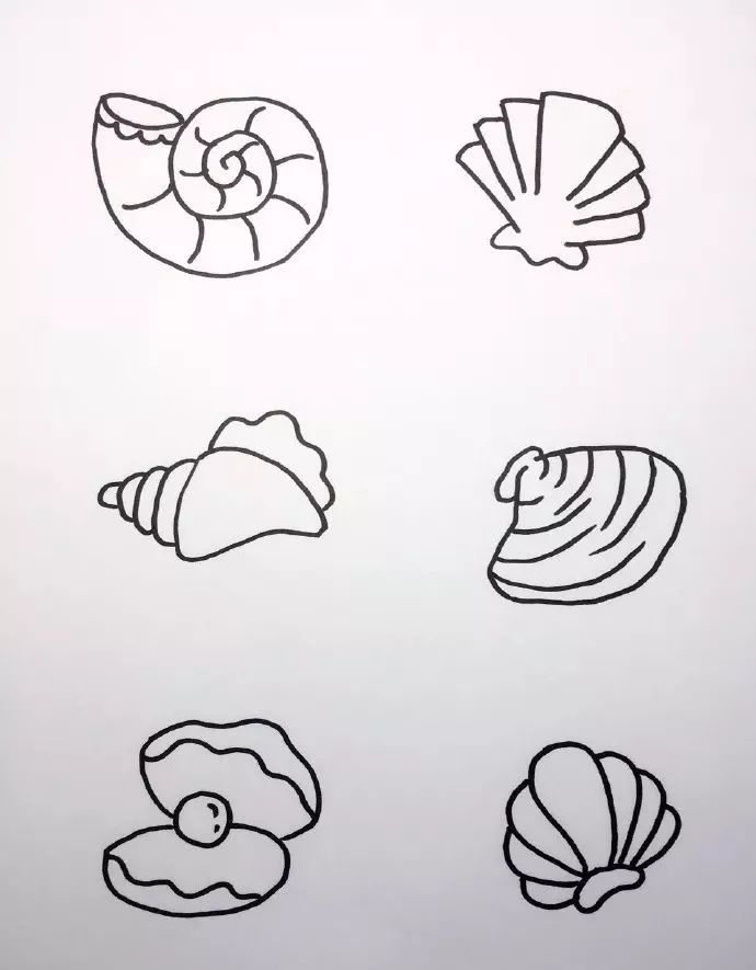 海底世界海洋生物簡筆畫圖片