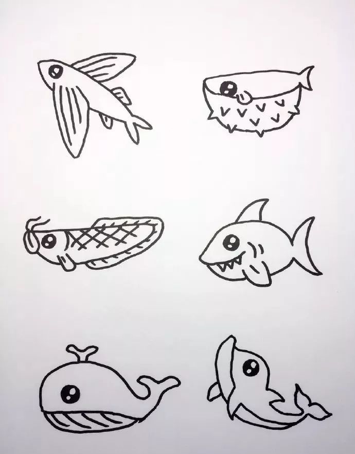 海底世界海洋生物簡筆畫圖片