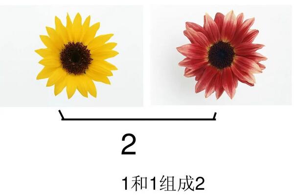 幼兒園數(shù)學(xué)小游戲，孩子邊玩邊學(xué)