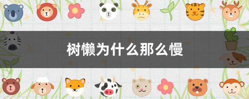 樹懶為什么這么慢