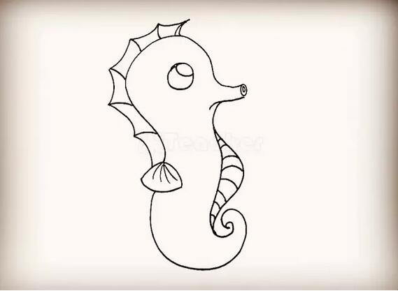 海洋生物海馬簡筆畫