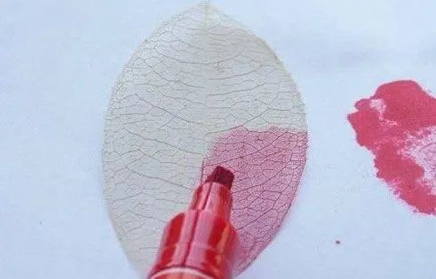 漂亮的葉脈書簽制作方法