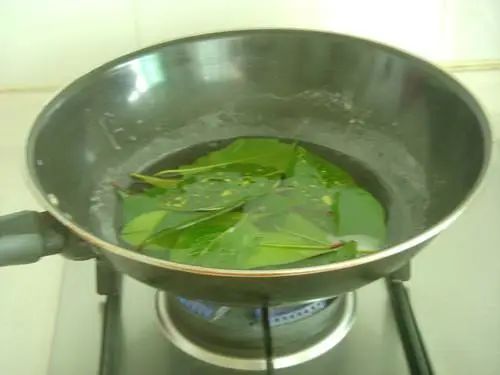 漂亮的葉脈書簽制作方法