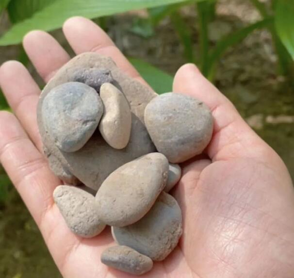 石頭創(chuàng)意畫，好玩到停不下來(lái)