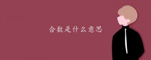 合數(shù)是什么意思