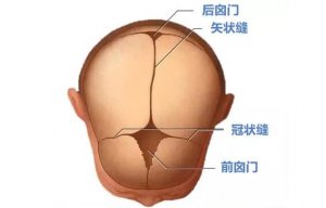 嬰兒囟門是什么及閉合時間