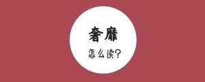 奢靡怎么讀拼音