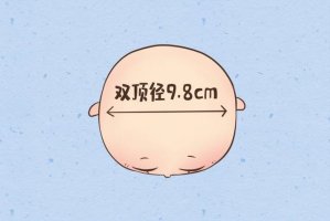 胎兒bpd是什么意思