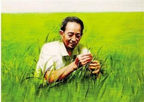 致敬袁隆平作文（精選9篇）
