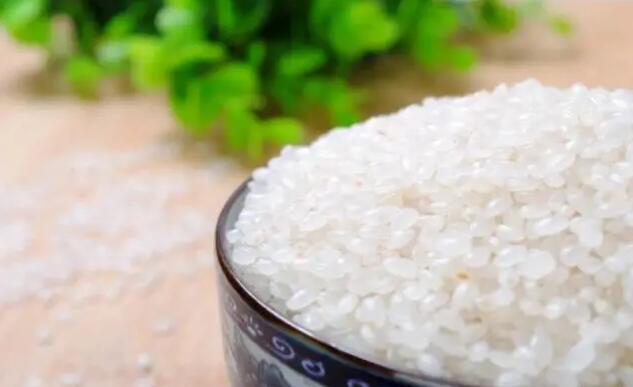 夏天家里大米生蟲(chóng)子怎么辦