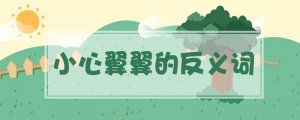 小心翼翼的反義詞是什么