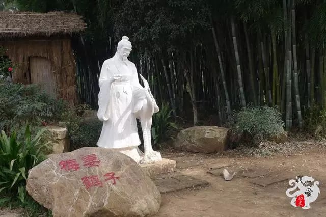 梅妻鶴子的詩(shī)人是哪一位