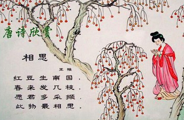 相思王維古詩(shī)帶拼音版