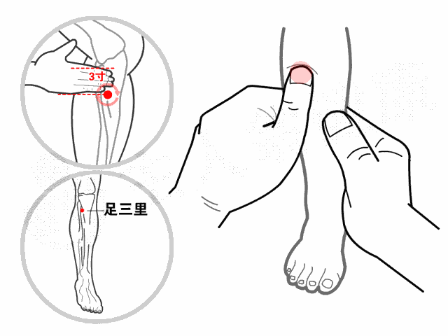 寶寶脾胃虛弱如何調(diào)理 怎么判斷孩子脾虛