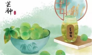 芒種節(jié)氣吃什么好
