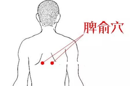 芒種節(jié)氣養(yǎng)生知識