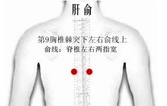 芒種節(jié)氣養(yǎng)生知識