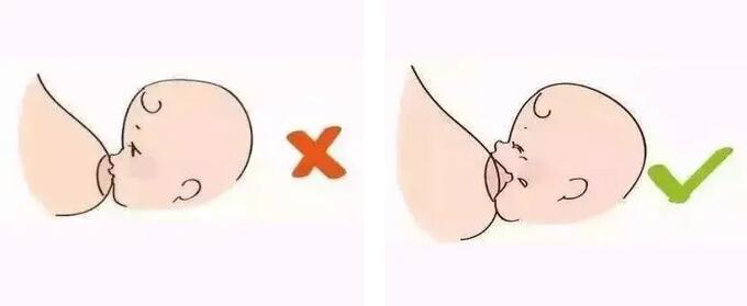 吸奶器和寶寶吸奶，區(qū)別在哪？