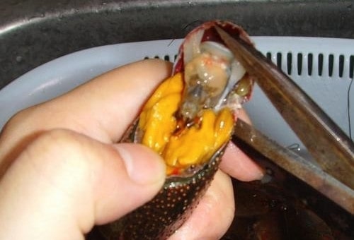 小龍蝦怎么清洗和處理