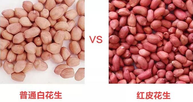 補(bǔ)血下奶五紅湯，哺乳期媽媽必備