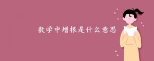 數(shù)學(xué)中增根是什么意思