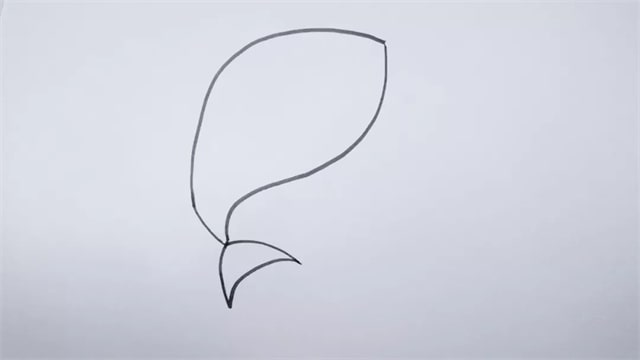 鯊魚(yú)簡(jiǎn)筆畫(huà)步驟圖片