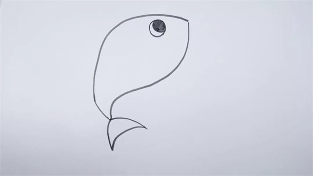 鯊魚(yú)簡(jiǎn)筆畫(huà)步驟圖片