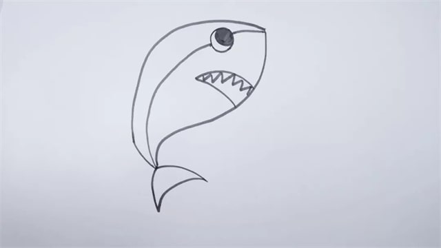 鯊魚(yú)簡(jiǎn)筆畫(huà)步驟圖片