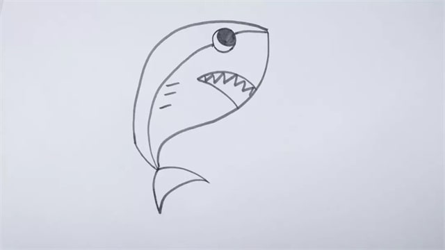 鯊魚(yú)簡(jiǎn)筆畫(huà)步驟圖片